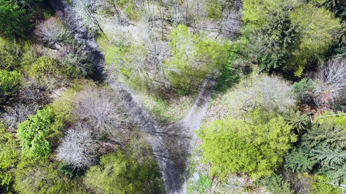 Luftaufnahme einer Wegkreuzung im Wald. 